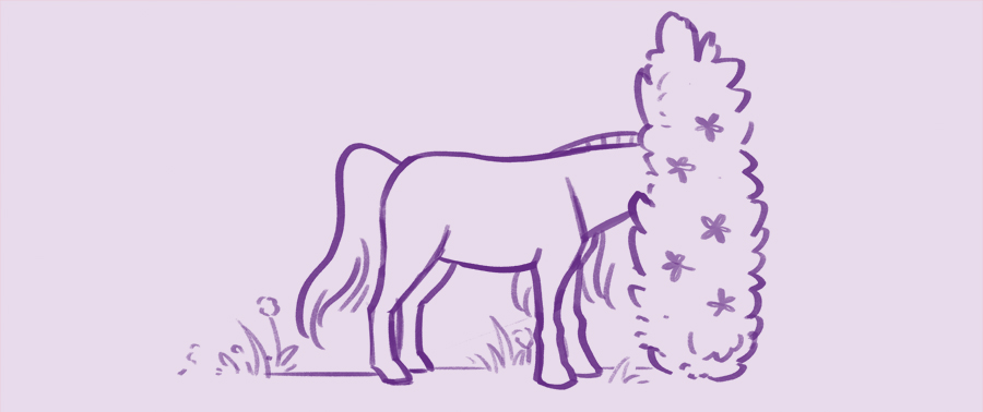 An illustration of a horse hiding in a bush.