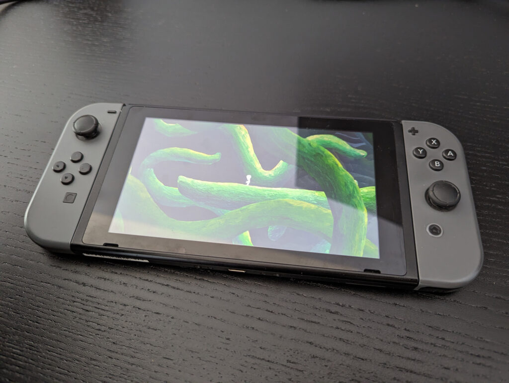 A photograph of the Nintendo Switch with The Master's Pupil on it.